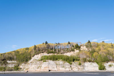 Trees on landscape against clear blue sky