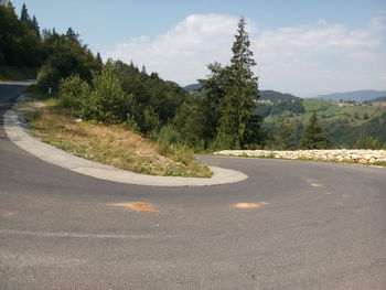 Close-up of road by trees against sky