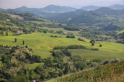 Scenic view of agricultural landscape