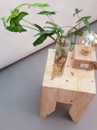 High angle view of potted plant on table