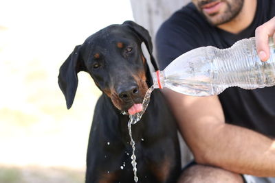 Midsection of man feeding water to dog