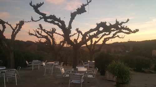 Chairs and table by trees against sky during sunset