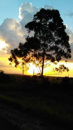 Silhouette trees on field against sky at sunset