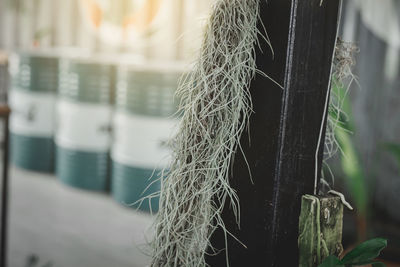 Close-up of rope hanging on wooden post in lake