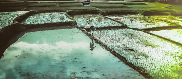 High angle view of wet puddle during rainy season