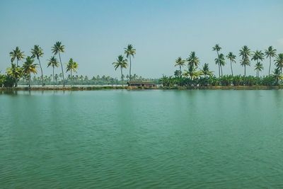 Scenic view of sea against clear sky