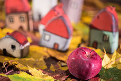 Close-up of apple with model homes on autumn leaves