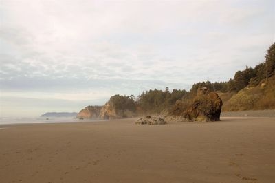 Scenic view of beach against sky