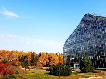 Trees and modern buildings against blue sky