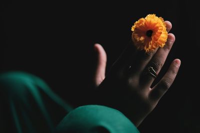 Close-up of hand holding flower against black background