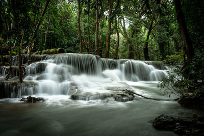 Scenic view of waterfall in forest