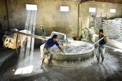 People working in building