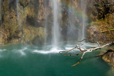 Scenic view of waterfall in forest