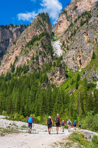 People walking on street amidst trees and mountains