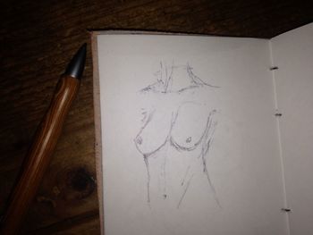 Close-up of tree stump