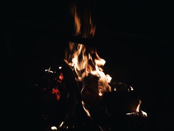 Close-up of bonfire at night