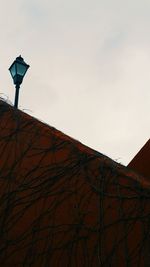 Low angle view of trees against clear sky