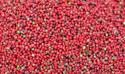 Full frame shot of red peppercorns 