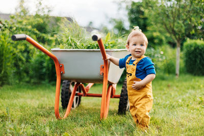 A cheerful toddler stands next to a wheelbarrow with mown grass in the garden.