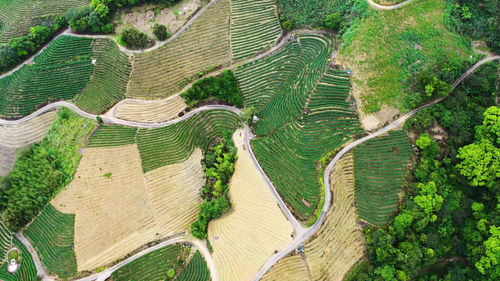 High angle view of agricultural land