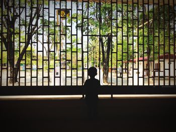 Silhouette man standing against trees