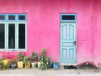 Potted plant on window of building