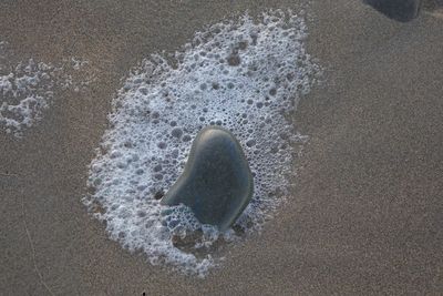 High angle view of surf on beach