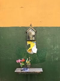 Close-up of yellow flowering plant against building