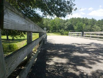 Road passing through trees