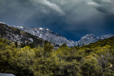 nature
