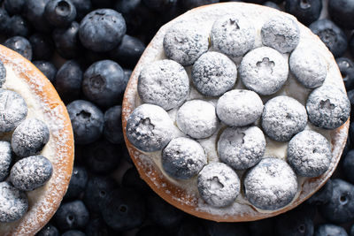 Sweet dessert cake with pudding cream and blueberries sprinkled with sugar