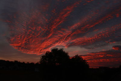 Silhouette trees against dramatic sky during sunset