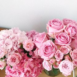 Close-up of pink roses