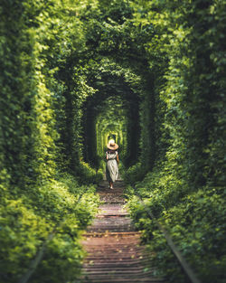 Woman standing on footpath in forest