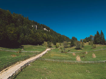 Scenic view of landscape against clear blue sky