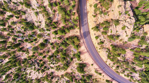 High angle view of road amidst trees on field