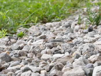 Close-up of stones on field