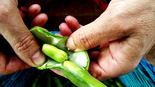 Cropped image of hand holding colorful outdoors