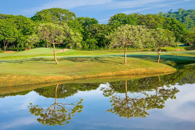 Reflection of trees on lake against sky