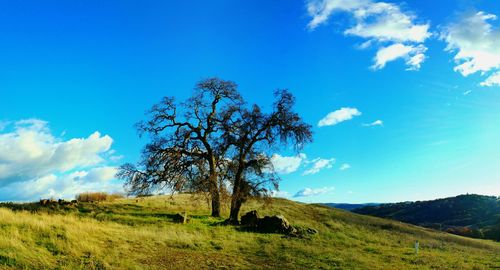 Scenic view of grassy field against cloudy sky
