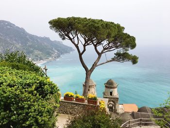 Trees by sea against sky