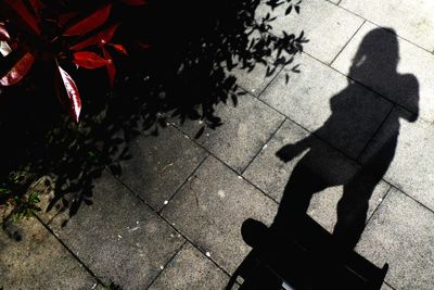 Shadow of person on footpath