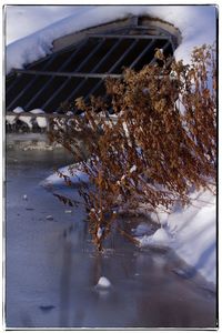 Close-up of frozen water