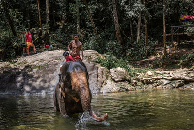 Man riding woman sitting by river in forest