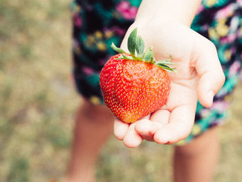 Close-up of hand holding strawberry