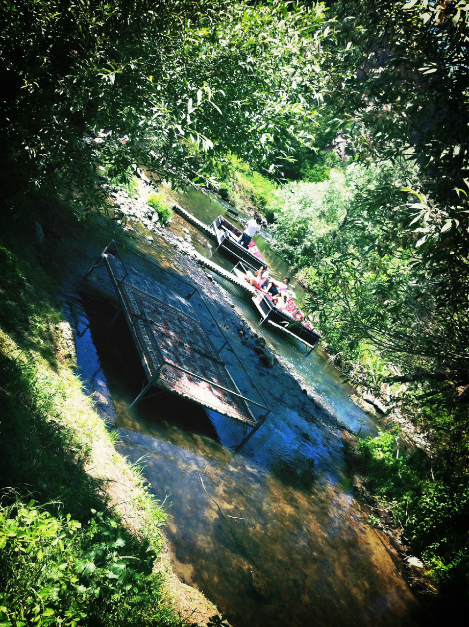 tree, transportation, mode of transport, high angle view, green color, growth, water, nautical vessel, nature, travel, boat, forest, day, plant, outdoors, incidental people, tranquility, land vehicle, sunlight, beauty in nature