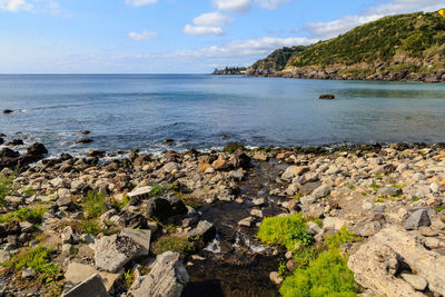 Scenic view of sea against sky