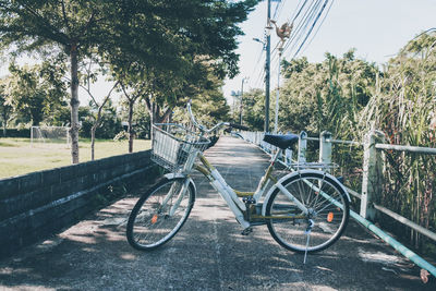 Bicycle parked on road amidst trees