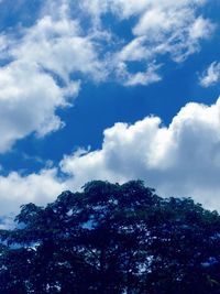Low angle view of trees against sky