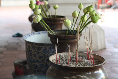 Close-up of lit candles in temple